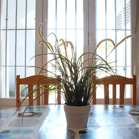 Apartamento Mayor - Apartelius - Chiclana Чиклана-де-ла-Фронтера